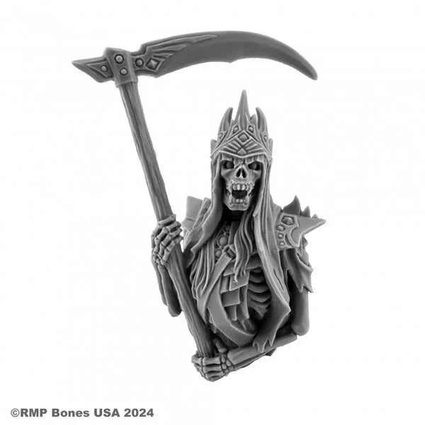 Null the Reaper (Bust) 01653