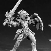 Na'Kaat, Female Half Dragon Paladin 03403 (metal)