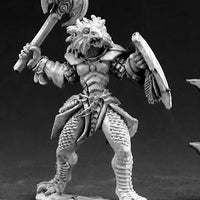 Na'Kaat, Female Half Dragon Paladin 03403 (metal)