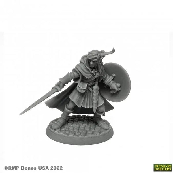 Mellonir Windrunner, Elf Warrior 07026