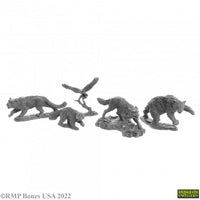 Companion Animals (5) 07040 (77216)