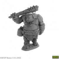 Ogre Guard 07063