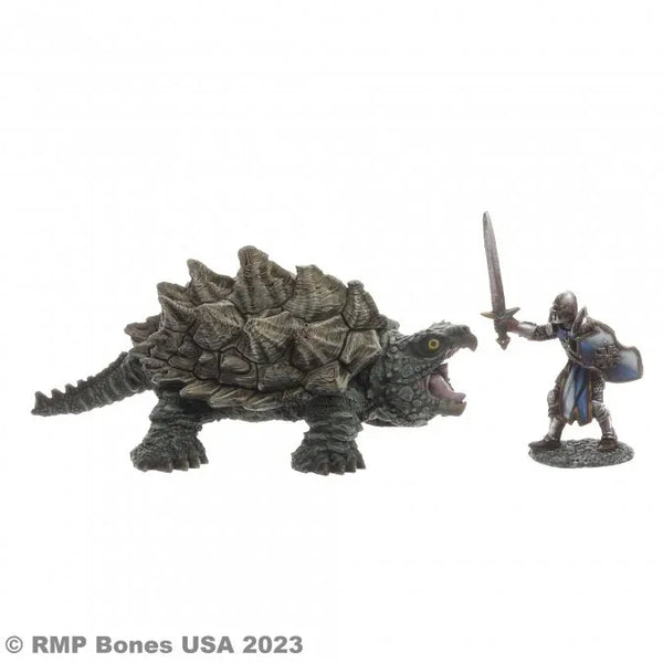 Giant Snapping Turtle 07107
