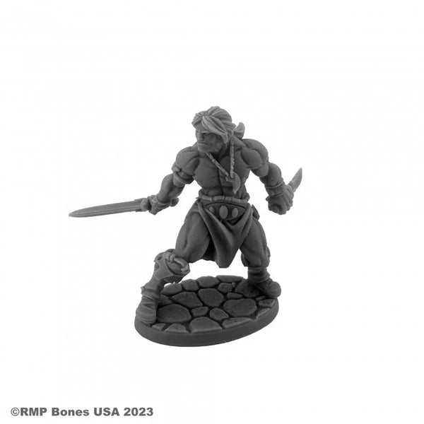 Hyborian Hero 07116