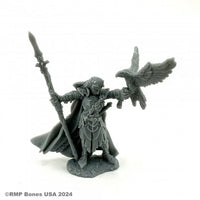 Wood Elf King 07120