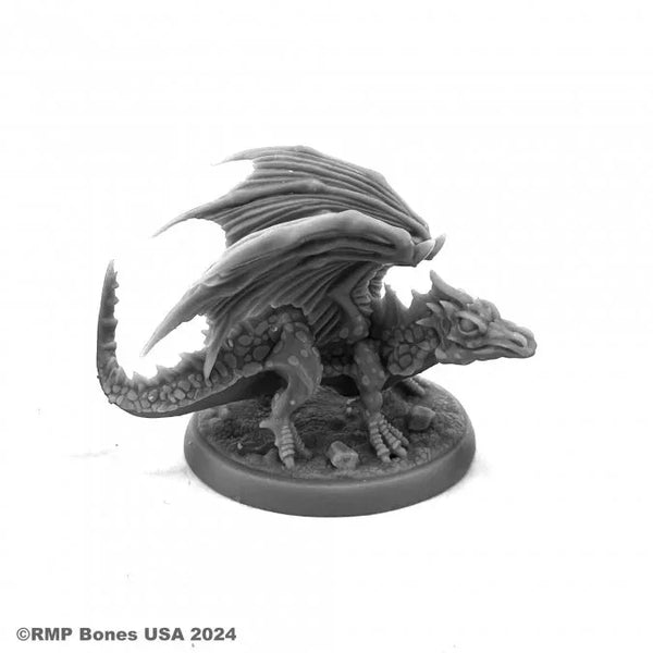 Hiss, Young Dragon 07131