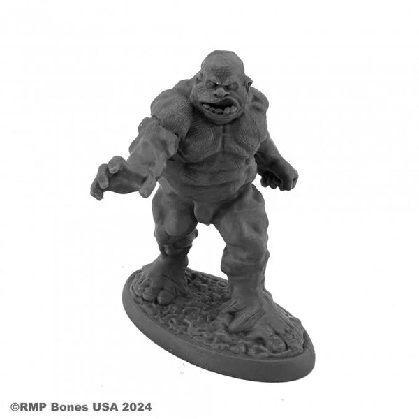 Clay Golem 07140
