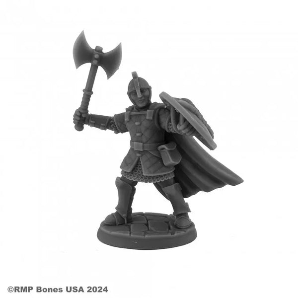 Sir Rudolf, Heroic Fighter 07148