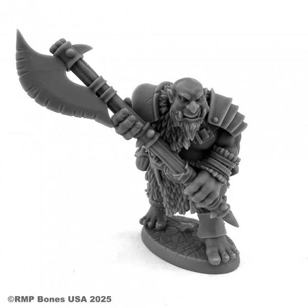 Ogre Bodyguard 07208