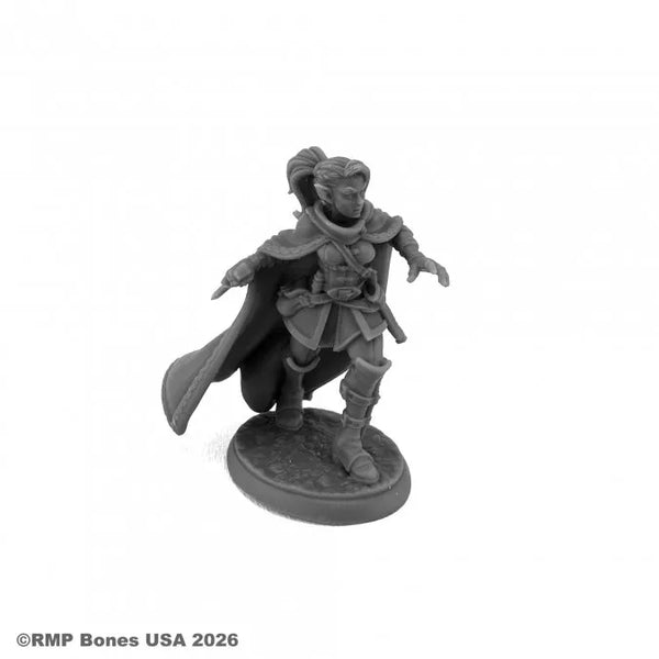 Lothiriel, weiblicher Elfen-Schurke 07219