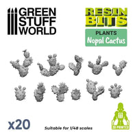 20x Nopal Kaktus Birnenkaktus Set 11612