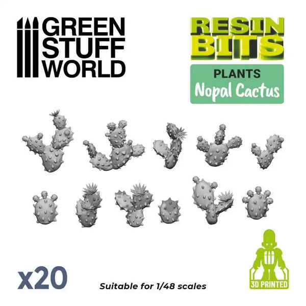 20x Nopal Kaktus Birnenkaktus Set 11612