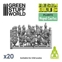 20x Nopal Kaktus Birnenkaktus Set 11612