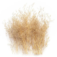 Hobby Thin Trees 13509