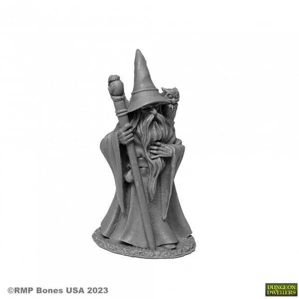 Anuminar Winterbeard, Wizard 07077 (77661)
