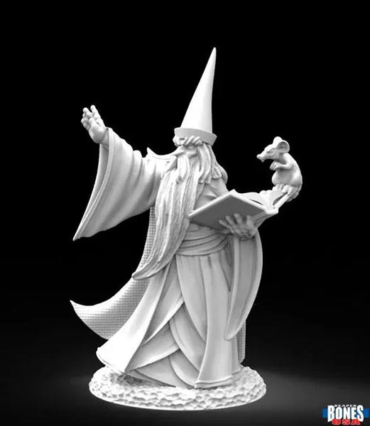 Darius the Wizard 30002