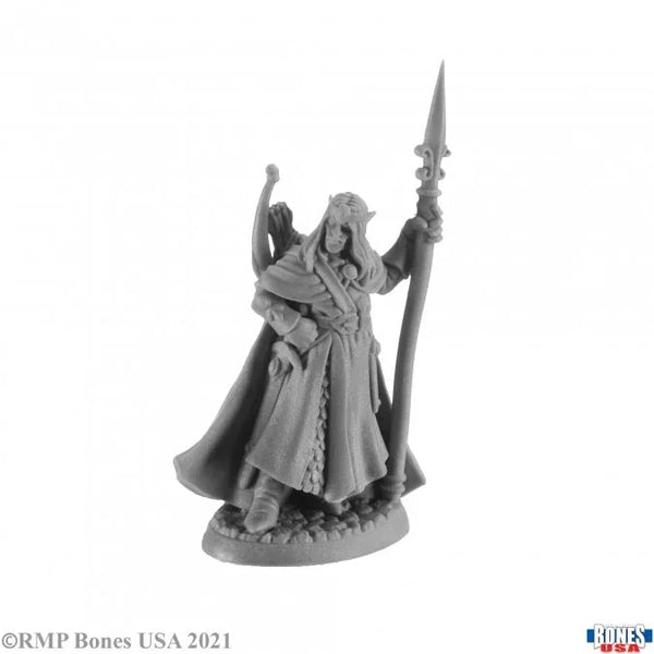 Elanter, the Lost Prince 30006