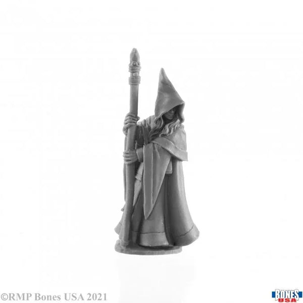 Elf Wizard, Anirion 30027
