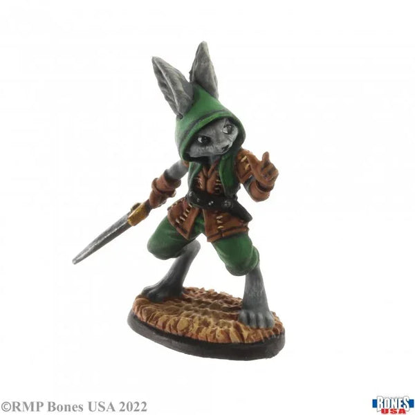 Rask, Male Harefolk 30052