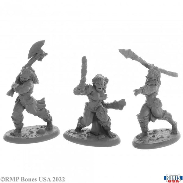 Jade Fire Warriors (3) 30055