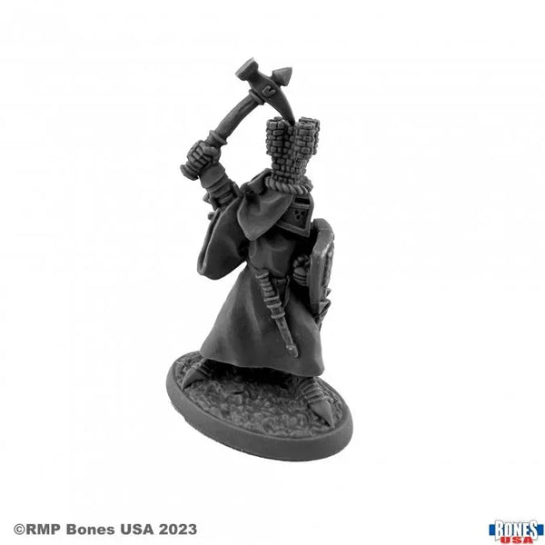 Sir Roland the Grey 30152