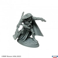 Elquin the Daring Elf Hero 30158