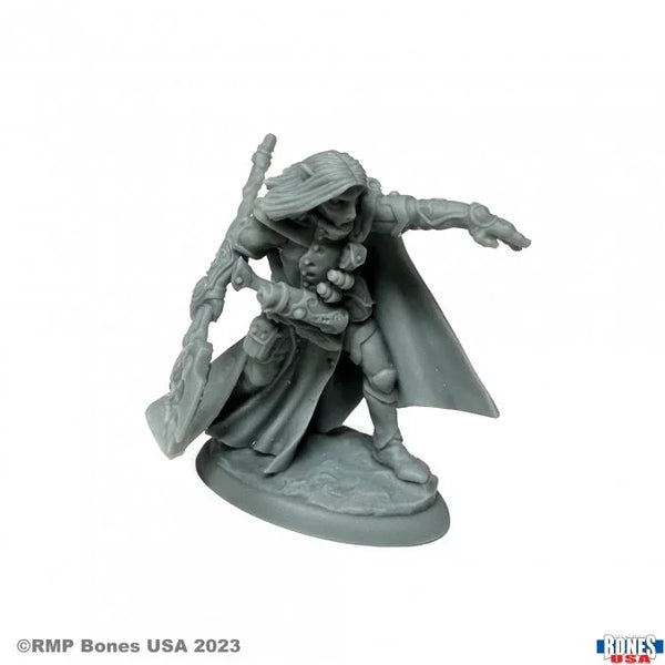 Elquin the Daring Elf Hero 30158