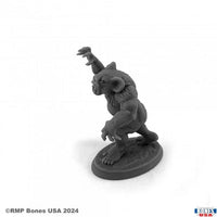 Dropbear 30166