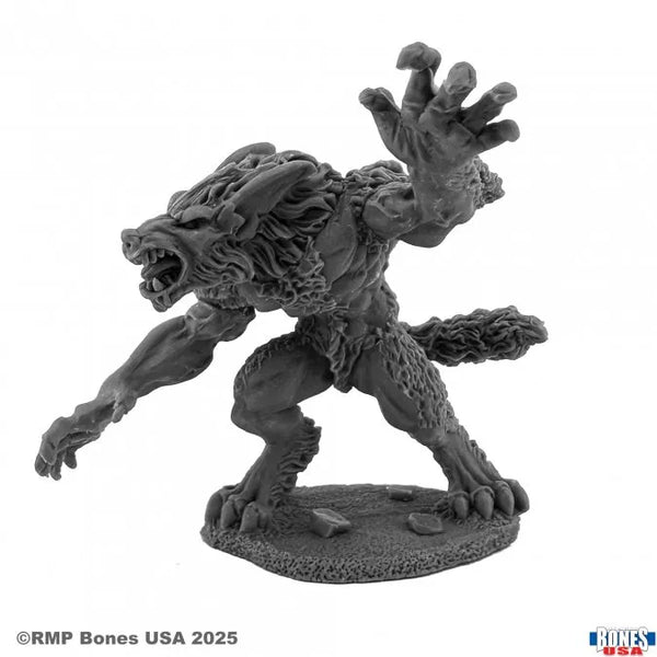 Jean Paul Duchamps, Werewolf 30202