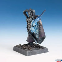 Chaos Sorceress 30228