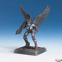 Raven 30230