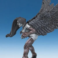 Raven 30230
