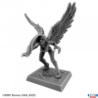 Raven 30230
