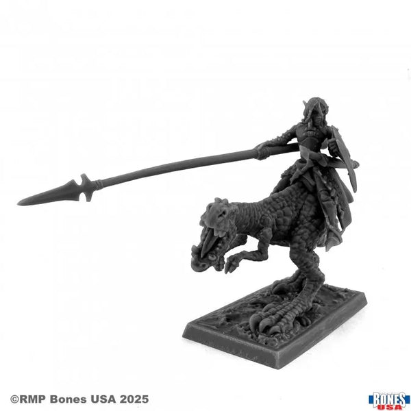 Dark Elf Hero on Lizard 30234