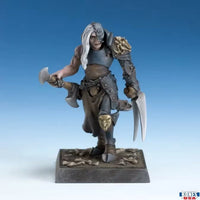Chaos Champion 30241
