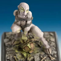 Female Chaos Cultist 30242