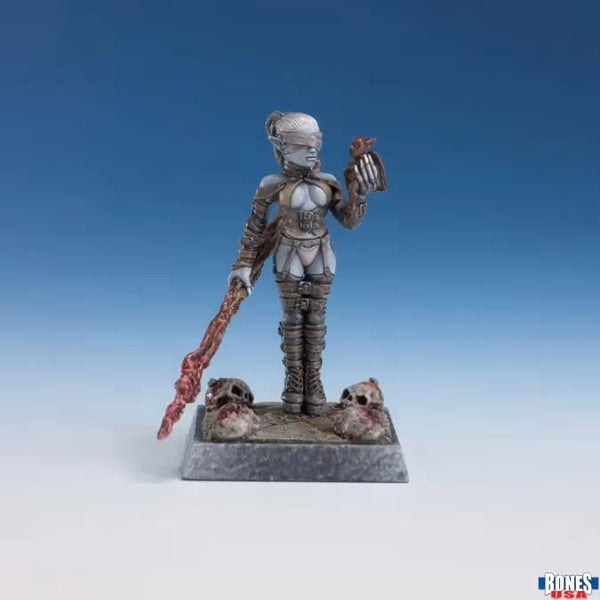 Dark Elf Sorceress 30245