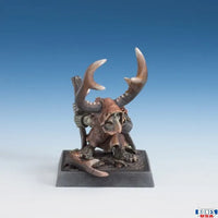 Goblin Shaman 30251