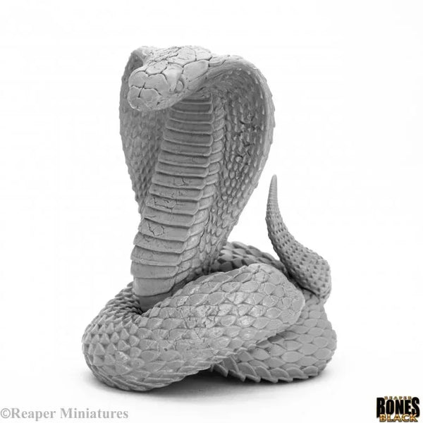 King Cobra - Bones Black Deluxe Boxed Set 44103