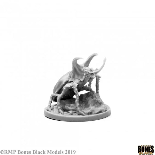 Giant Rhino Beetle 44138