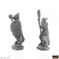 Dragonfolk Wizard and Cleric 44144