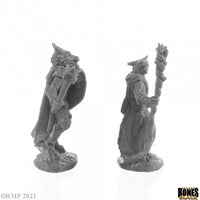 Dragonfolk Wizard and Cleric 44144