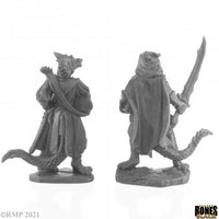 Drachenvolk-Barde und Dieb 44145