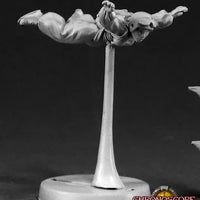 Kassia Switlick, Skydiver 50034 (metal)
