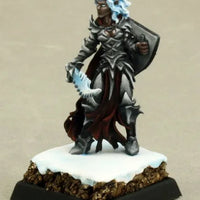 Evshyvandra Duskwidow, Dark Elf Warrior 14631 (metal)