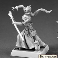 Winter Witch Human Warlock 60149 (metal)