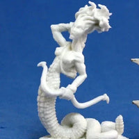 Medusa 77037