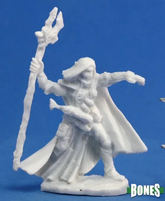 Elquin, High Elf Adventurer 77092