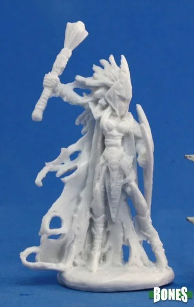 Tierdeleira, Dark Elf Cleric 77122