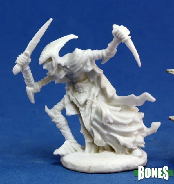 Zalash, Dark Elf Assassin 77123